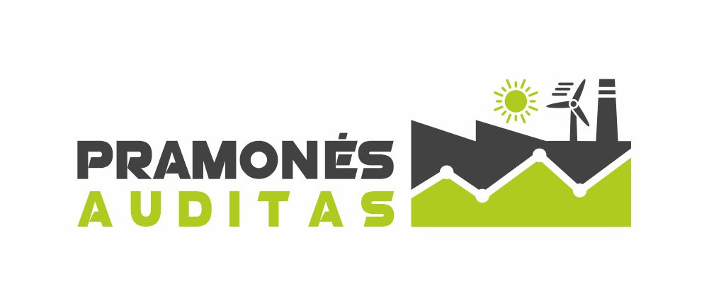 Pramonės Auditas logotipas